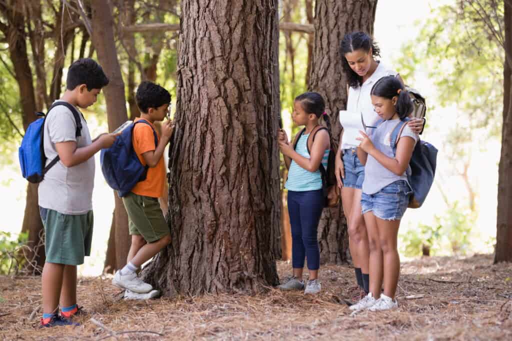 Students examining a tree trunk with their teacher at a park